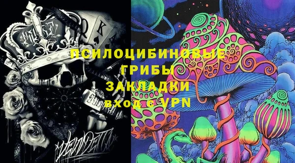 дурь Алзамай