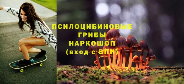 дурь Алзамай