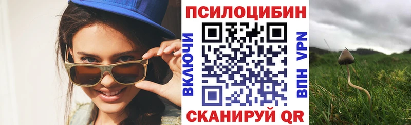 Псилоцибиновые грибы Magic Shrooms  Поронайск 