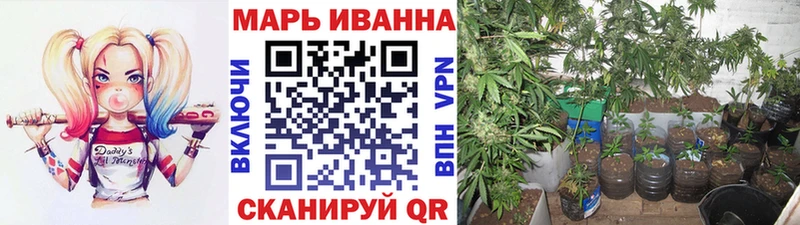 Марихуана план  Поронайск 